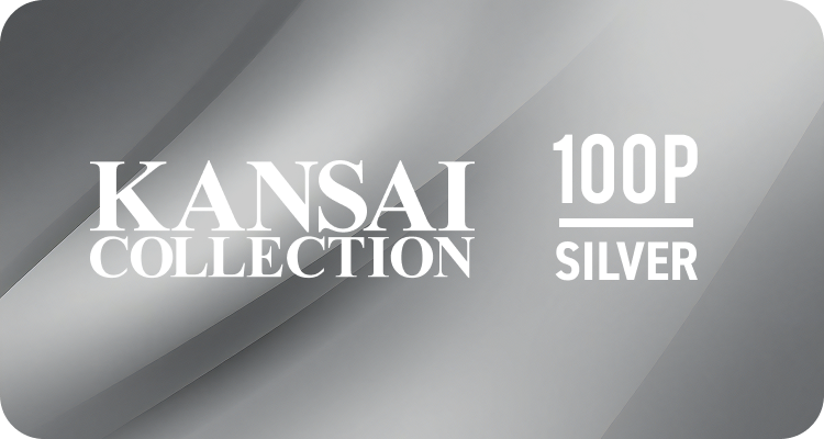 SILVER 100P 関西コレクション